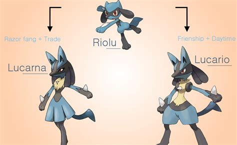 lucario evolution line|[ Lucario ] The Pokémon Index: Evolution Chart, Move List, .